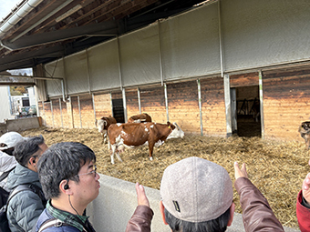 バーデン=ヴュルテンベルク州の肉用牛経営