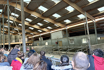 牛舎内（調査時点では放牧中）