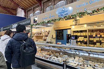 さまざまな種類のチーズ