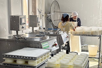 ヒアリングの様子（牛は放牧中）