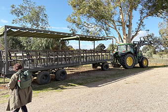 農場案内（トラクターでけん引）