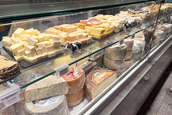種類豊富なチーズ