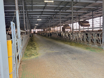 クラスター事業を活用した牛舎