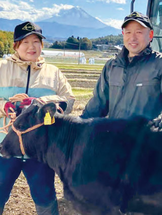 肉用牛農家の画像