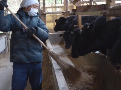 肉用牛農家の画像02