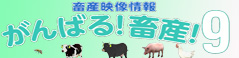 がんばる!畜産!9